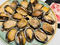 -红鼎豆捞·非遗鲍皇汤火锅(宝丰路店)