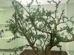 -极简口腔(总院)