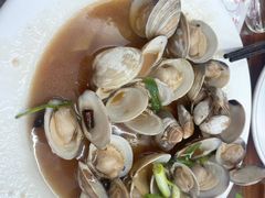 辣炒白贝-鑫鸿达·海鲜闽菜热炒小馆(中山路店)
