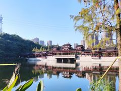 -重庆彩云湖湿地公园