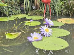 -华南国家植物园-售票处