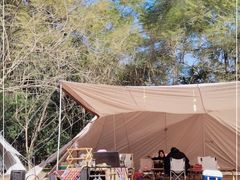 -南宁良凤江国家森林公园