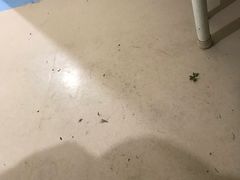 -桐庐县中医院(广场路店)