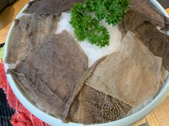 -杨肥肠火锅大排档(火车站花园店)