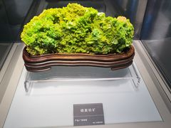 -安徽省地质博物馆