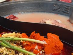 -鸿姐老火锅·传统炒料(上海旗舰店)