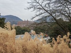 -杭州少年儿童公园