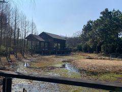 -长广溪湿地公园