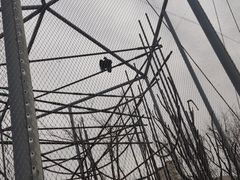 -太原动物园
