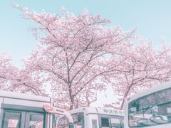 -南浦大桥长途旅游客运站