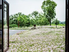-良渚古城遗址公园