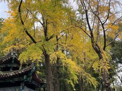 -成都市文殊院