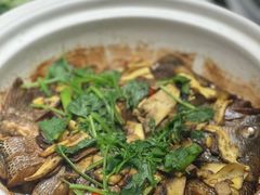 -蔼若春.传承三十年云南菜(金碧公园店)