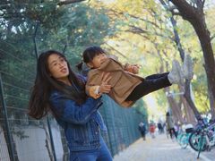 -三里屯东五街银杏大道