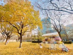 -Plush大堂酒廊(北京金融街威斯汀大酒店)