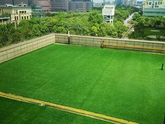 -菩提树·素食餐厅(汇智国际商业中心店)