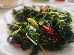 -庆岭迎宾园正宗活鱼馆