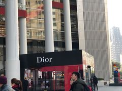 -Dior迪奥(上海世茂广场店)