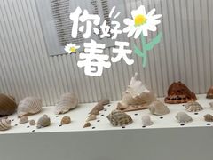 -青岛贝壳博物馆