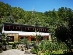 -柞水乾佑红门家菜