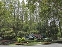 -徐家汇源景区-衡山公园