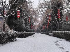 -大槐树寻根祭祖园