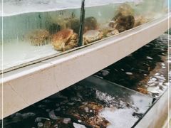 -芜湖白金汉爵大酒店