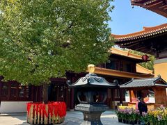 -亭林园-华藏寺