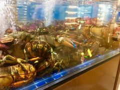波士顿龙虾-七鲜超市(通州ONE店)