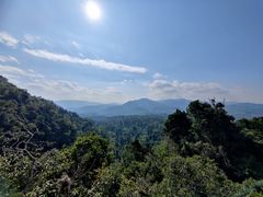 -中国科学院西双版纳热带植物园
