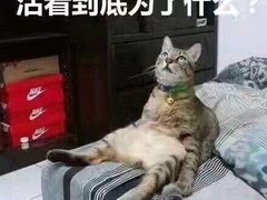 -BOKE博稞烘焙(天佑城店)