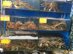 -蚝专家(北滘店)