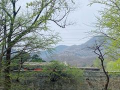 -阳台山自然风景区