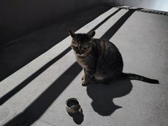 -交通银行前滩31演艺中心