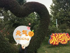 -荷兰花海