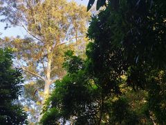 -水濂山森林公园