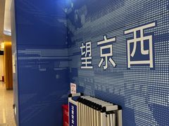 -望京西(地铁站)