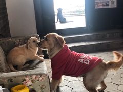 -浔岚云舍mist静谧观景美宿(丽江古城店)