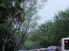 -杭州西湖风景名胜区-满觉陇四眼井