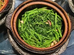 啫啫空心菜-煲煲好(朝阳门店)
