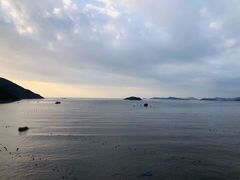 -北岐滩涂