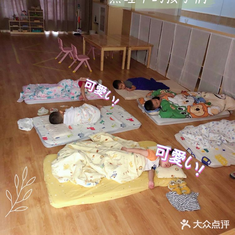 去了这家托育园，她竟然不要妈妈了，探秘古力古利专业学前教育班