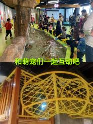 -七巧国萌宠乐园(龙湖天街店)
