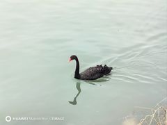 -颐和园