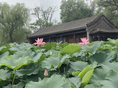 -承德避暑山庄景区