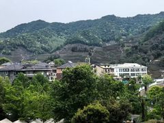 -龙坞茶村
