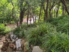 -大连植物园