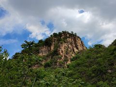 -大岭沟猕猴桃谷风景区