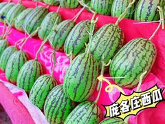 -西瓜小镇