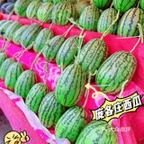 今年夏天最好吃的西瓜🍉｜庞各庄买西瓜🍉新发现